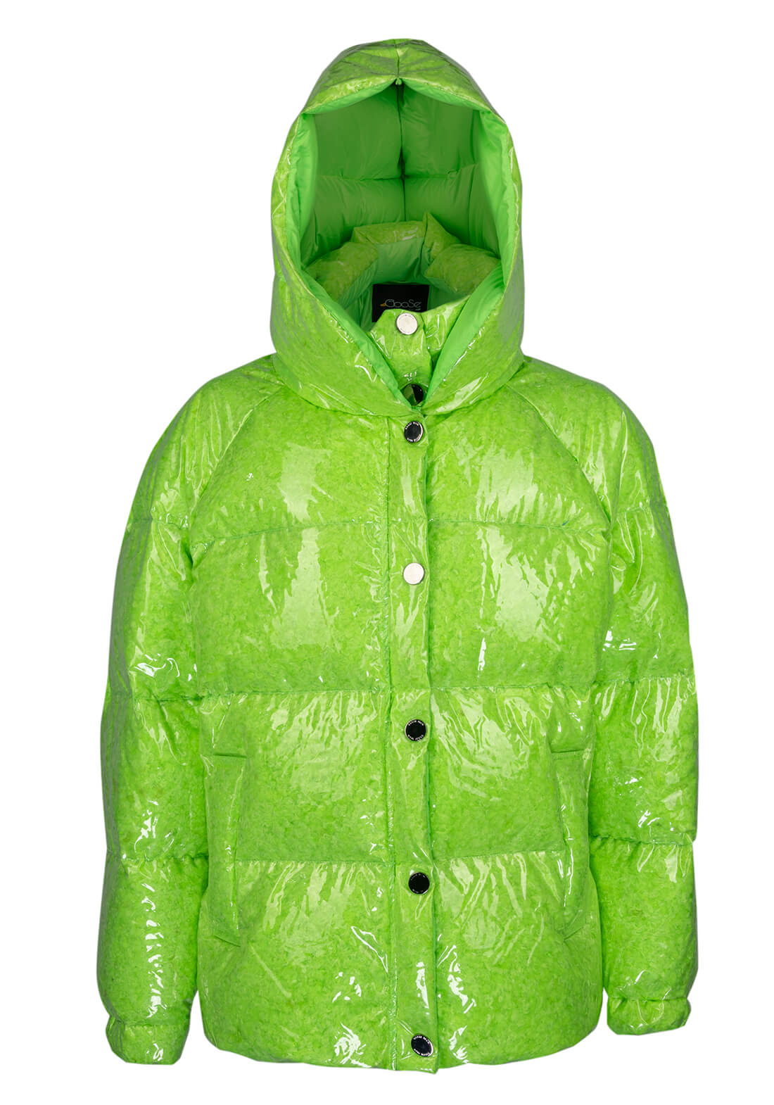 Пуховик Goose Tech